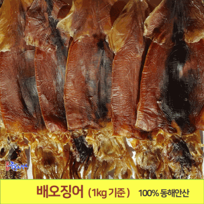 [포항 죽도시장] 배오징어 (1kg기준)9~12미 선물용 배에서 마른오징어 건오징어