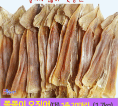 [포항 죽도시장]쫄쫄이 오징어(대)20마리(1.7kg) 당일바리 건오징어 동해안산 오징어