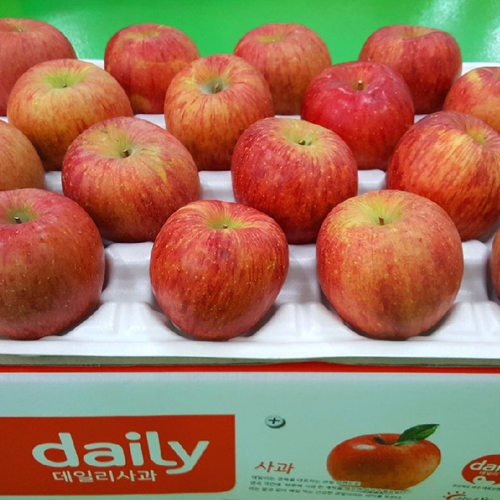 [서포항농협유통사업단] 사과 10kg 흠집사과