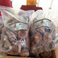 [성림버섯농장] 생표고버섯 2kg