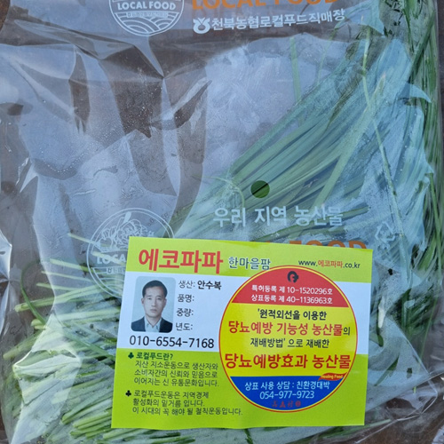 [에코파파한마을팜]약부추 당뇨예방 (100g)