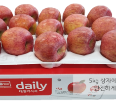 [서포항농협유통사업단] 사과 5kg 흠집사과