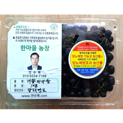 [에코파파한마을팜] 무농약 개량 까마중 1kg