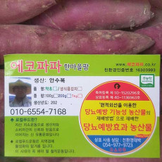 [에코파파한마을팜]♡황금고구마♡친환경+당뇨예방 효과 농산물 / 10Kg-사이즈 : 중