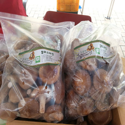 [성림버섯농장] 생표고버섯 2kg
