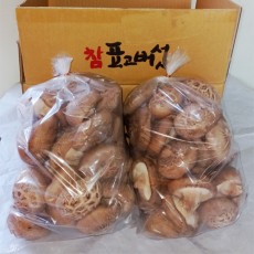 [성림버섯농장] 생표고 2kg (상)