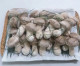[착한보경사송이버섯] 보담송이 1㎏ (최상품)