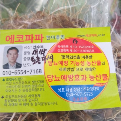 [에코파파한마을팜] 야산 토종마씨 1kg