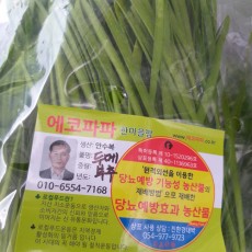 [에코파파한마을팜] 두메부추 100g