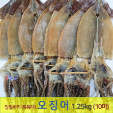 [포항 죽도시장] 오징어 (특특大) 10마리 (1.25kg내외) 동해안 건오징어 마른오징어