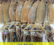 [포항 죽도시장] 오징어 (특특大) 10마리 (1.25kg내외) 동해안 건오징어 마른오징어