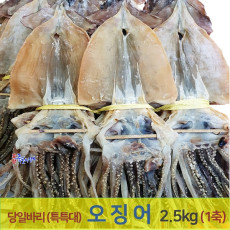 [포항 죽도시장] 오징어 (특특大) 20마리 1축(2.5kg내외) 동해안 건오징어 마른오징어