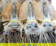 [포항 죽도시장] 오징어 (특특大) 20마리 1축(2.5kg내외) 동해안 건오징어 마른오징어