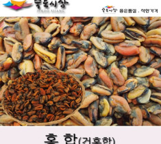 [죽도시장] 홍합 / 건홍합 국산 1kg, 최상품