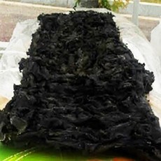 [에코파파한마을팜] 호미곶 자연산 돌미역 특중각