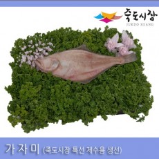 [죽도시장] 가자미(제수용생선) 33Cm-38Cm / 1마리 / 경북 동해안 최대 전통시장 죽도시장 특선 제수용 생선