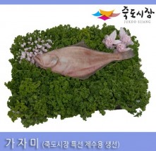 [죽도시장] 가자미(제수용생선) 40Cm-45Cm / 1마리 / 경북 동해안 최대 전통시장 죽도시장 특선 제수용 생선