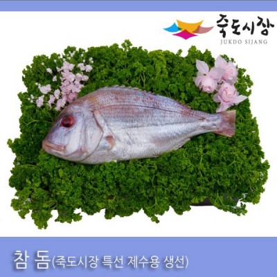 ●[죽도시장] 참돔(제수용생선) 36Cm-40Cm / 1마리 / 경북 동해안 최대 전통시장 죽도시장 특선 제수용 생선