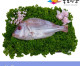 [죽도시장] 참돔(제수용생선) 36Cm-40Cm / 1마리 / 경북 동해안 최대 전통시장 죽도시장 특선 제수용 생선