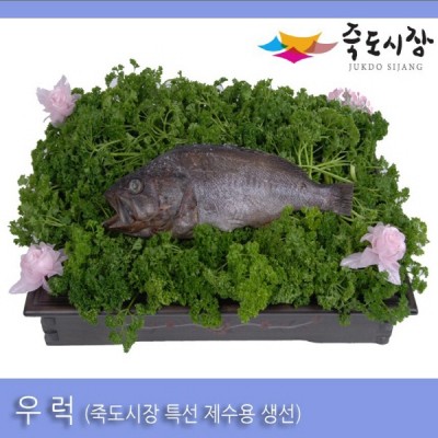 ●[죽도시장] 우럭(제수용생선) 35Cm이상 / 1마리 / 경북 동해안 최대 전통시장 죽도시장 특선 제수용 생선