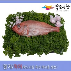 ●[죽도시장] 열기(제수용생선) 35Cm-37Cm / 1마리 / 경북 동해안 최대 전통시장 죽도시장 특선 제수용 생선