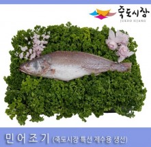 [죽도시장] 민어조기(제수용생선) 40Cm-45Cm / 1마리 / 경북 동해안 최대 전통시장 죽도시장 특선 제수용 생선