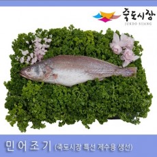 [죽도시장] 민어조기(제수용생선) 40Cm-45Cm / 1마리 / 경북 동해안 최대 전통시장 죽도시장 특선 제수용 생선