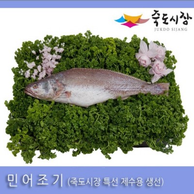 ●[죽도시장] 민어조기(제수용생선) 40Cm-45Cm / 1마리 / 경북 동해안 최대 전통시장 죽도시장 특선 제수용 생선